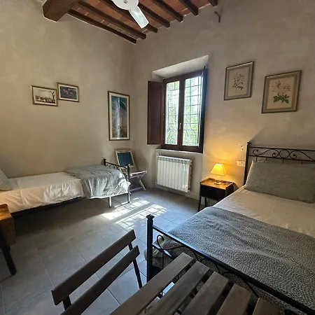 - Il Casale Toscano Guesthouse - 1900 Mt From Pisa Tower - No Air Conditioning - Ventilatore In Camera - No Fridge - No Breakfast - Free Parking - Check In From 3 Pm --3